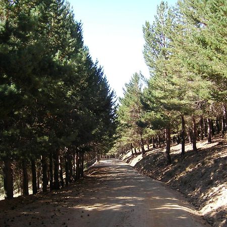 Hostal Rural Poqueira กาปีเลย์รา ภายนอก รูปภาพ